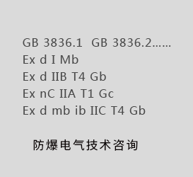 防爆电气技术咨询